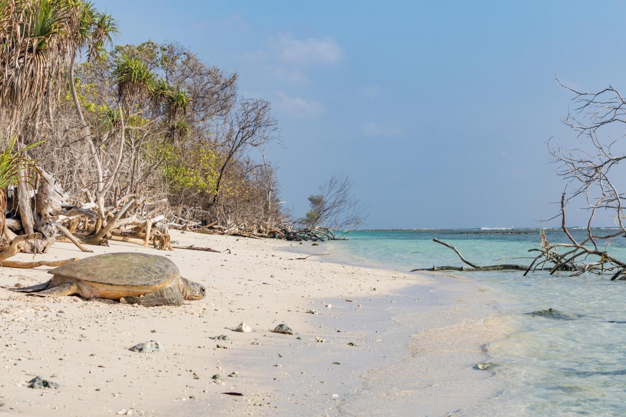 Soneva Jani Hotel Manadhoo Ngoại thất bức ảnh